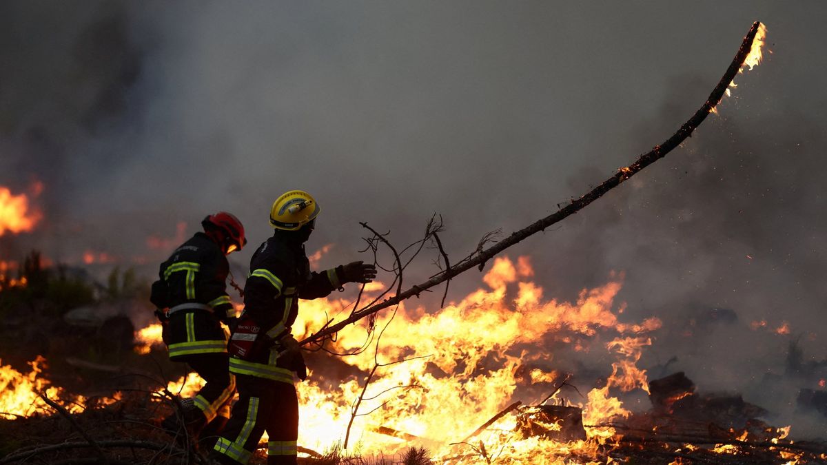 Wildfires in France and Spain: A Harbinger of Climate Change Consequences