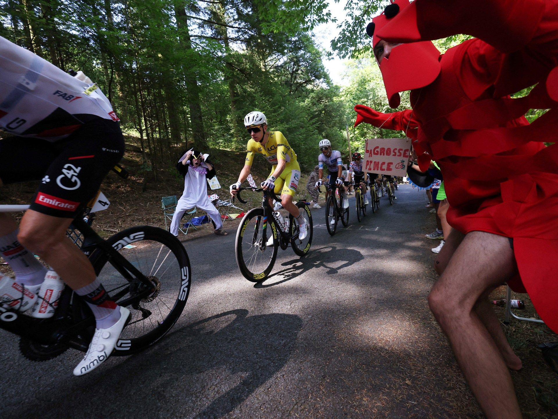 Concussion in Cycling: A Complex Issue in the High-Speed World of the Tour de France