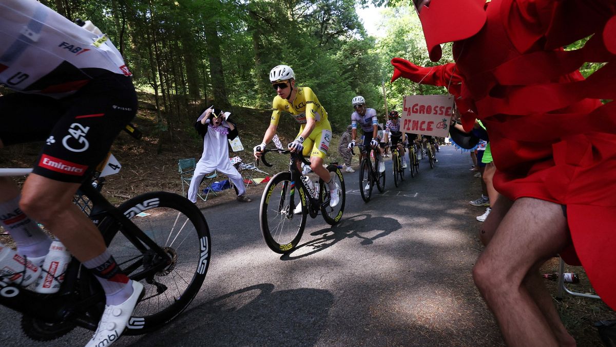 Concussion in Cycling: A Complex Issue in the High-Speed World of the Tour de France
