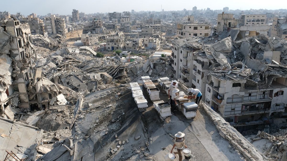 Gaza's Fragile Calm: A Web of Power and Human Suffering