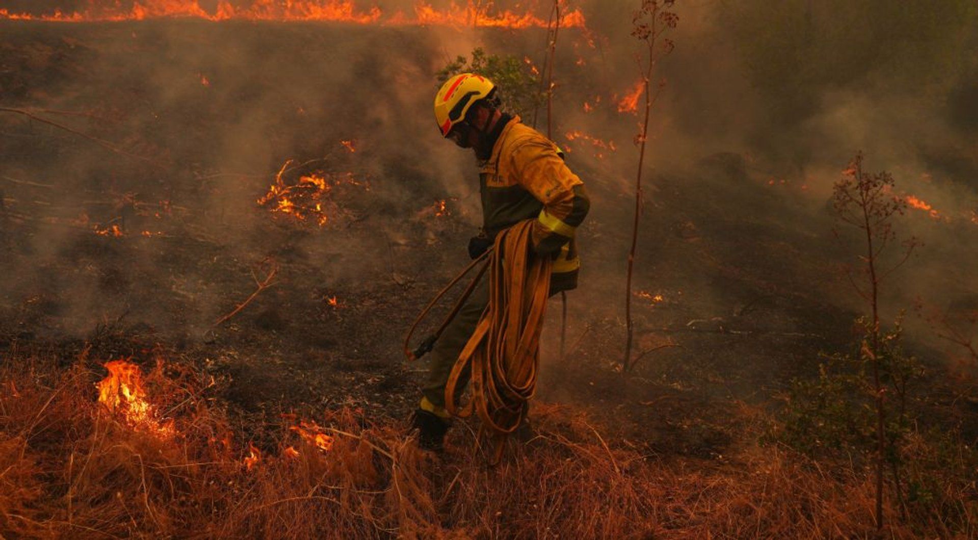 Europe's Unprecedented Wildfires: A Symptom of Climate Change and Regional Instability