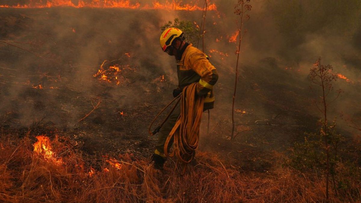 Europe's Unprecedented Wildfires: A Symptom of Climate Change and Regional Instability