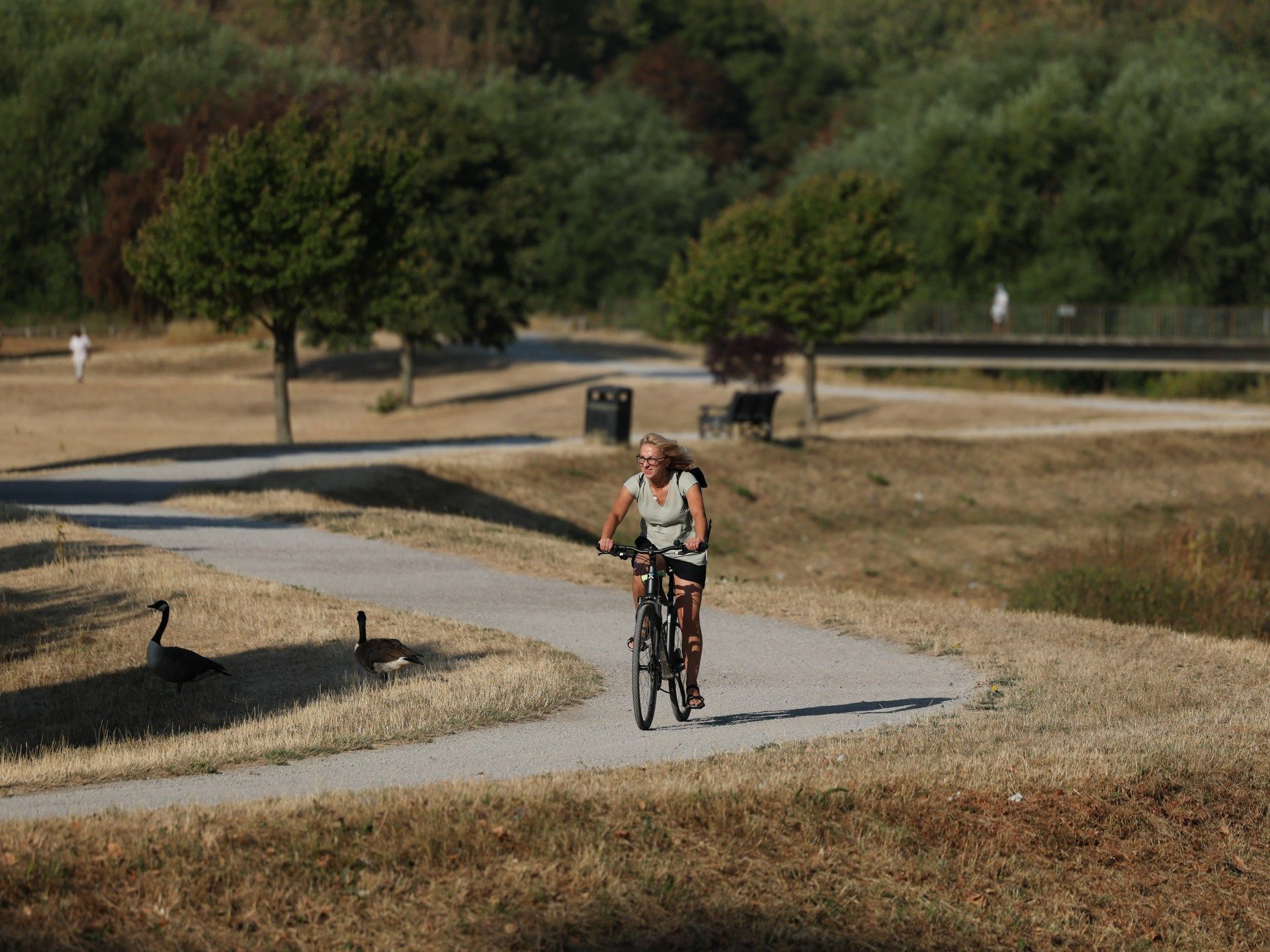 Europe's Broken Thermostat: When Heat Overwhelms the System