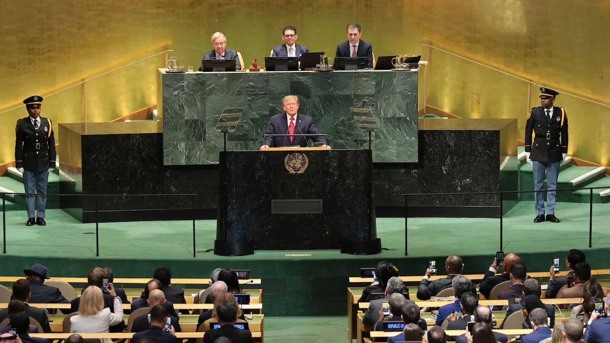 A President's Threats, a World's Law: The Unseen Toll of Unchecked Power
