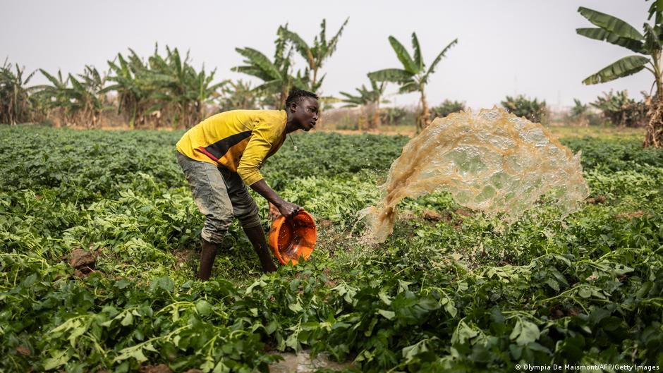 Nigeria's Drought-Stricken Conflict: Unpacking the Role of Religious Divides