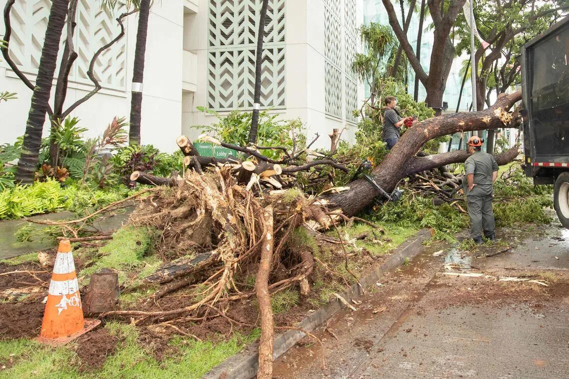 Hawaii's Stormy Wake-Up Call: The Unseen Consequences of Climate Change