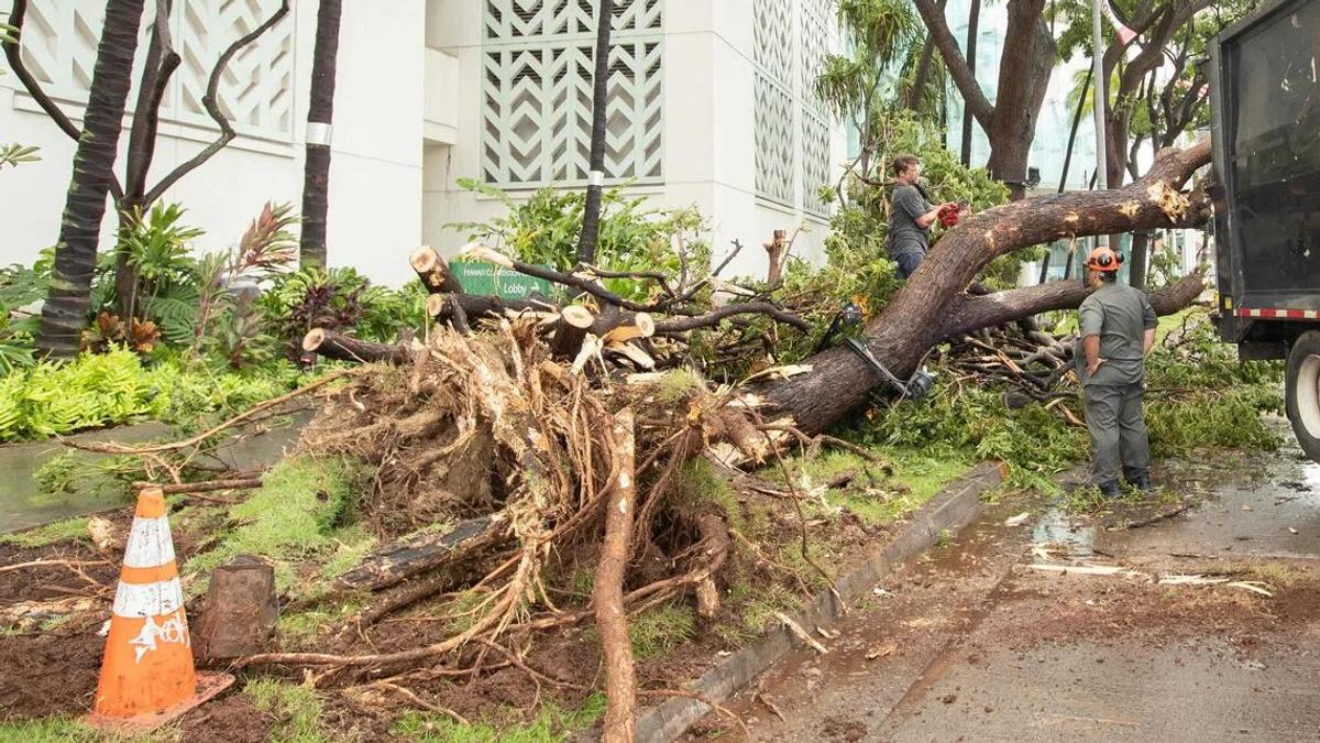 Hawaii's Stormy Wake-Up Call: The Unseen Consequences of Climate Change