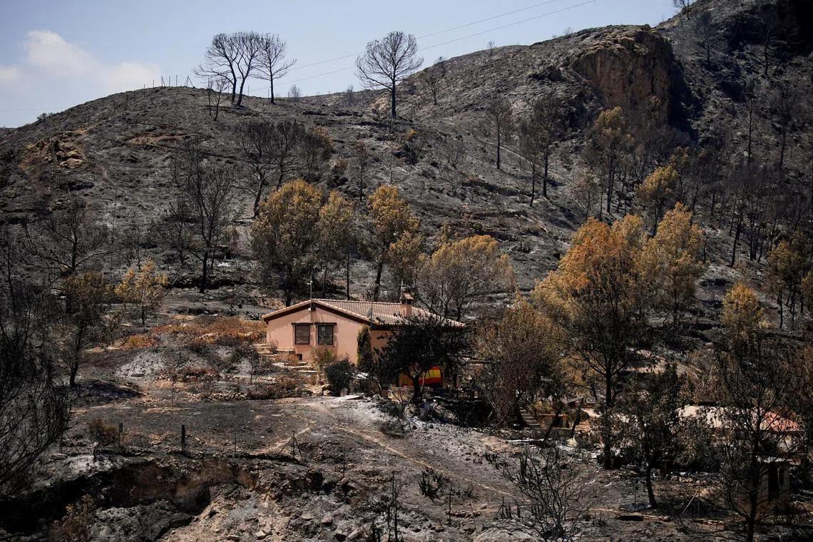 Spanish Wildfire Tragedy Exposes Critical Gaps in European Disaster Preparedness