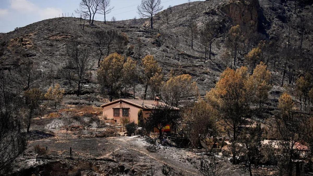 Spanish Wildfire Tragedy Exposes Critical Gaps in European Disaster Preparedness