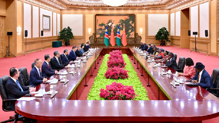 China and Namibia Elevate Strategic Partnership Amidst Global South Alignment