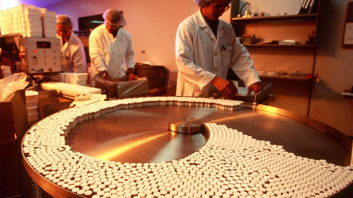 Who Wins the Bio‑Factory Race? The Stakes Behind the Lab Vats