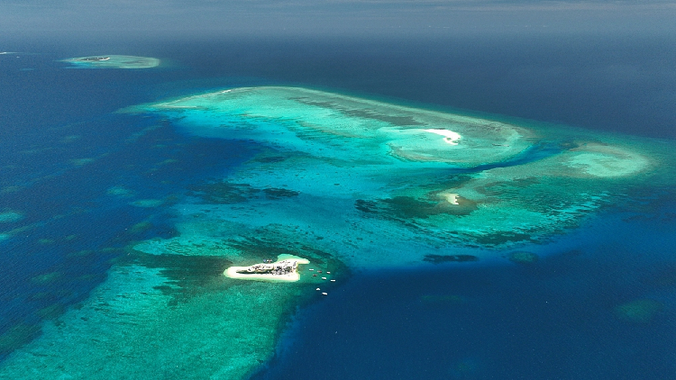 South China Sea Arbitration: A Decade of Contested Legitimacy and Enduring Geopolitical Friction