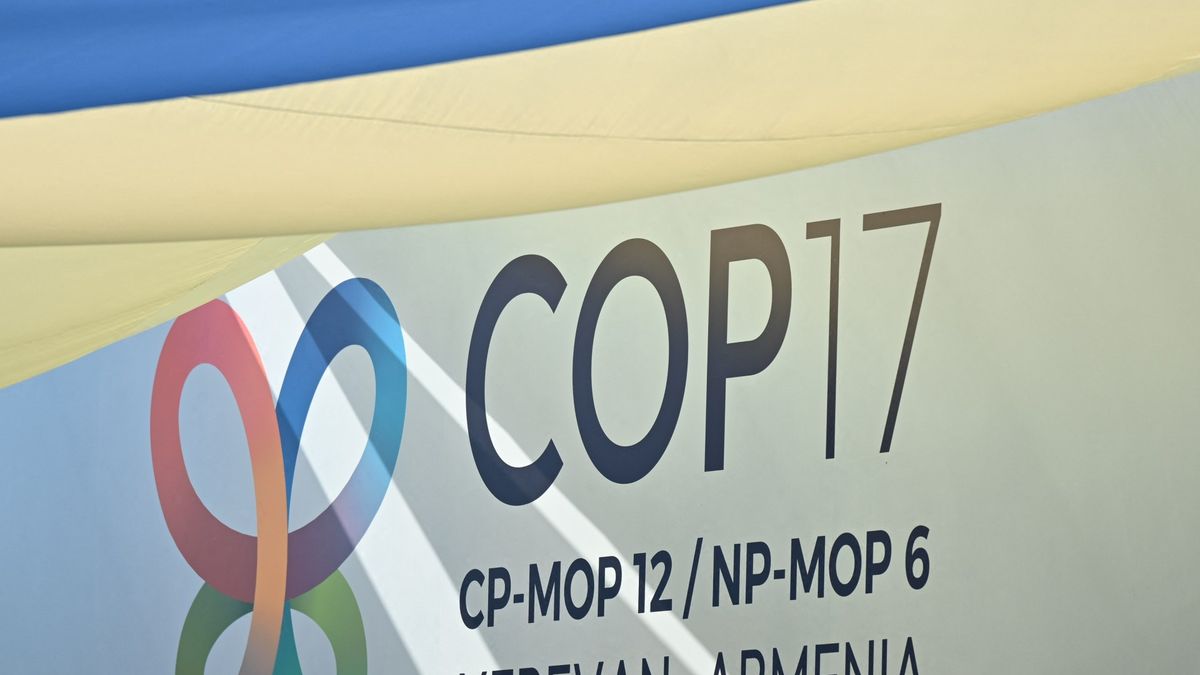 Between Gold and Green: Armenia's Costly Bid for a Global Stage