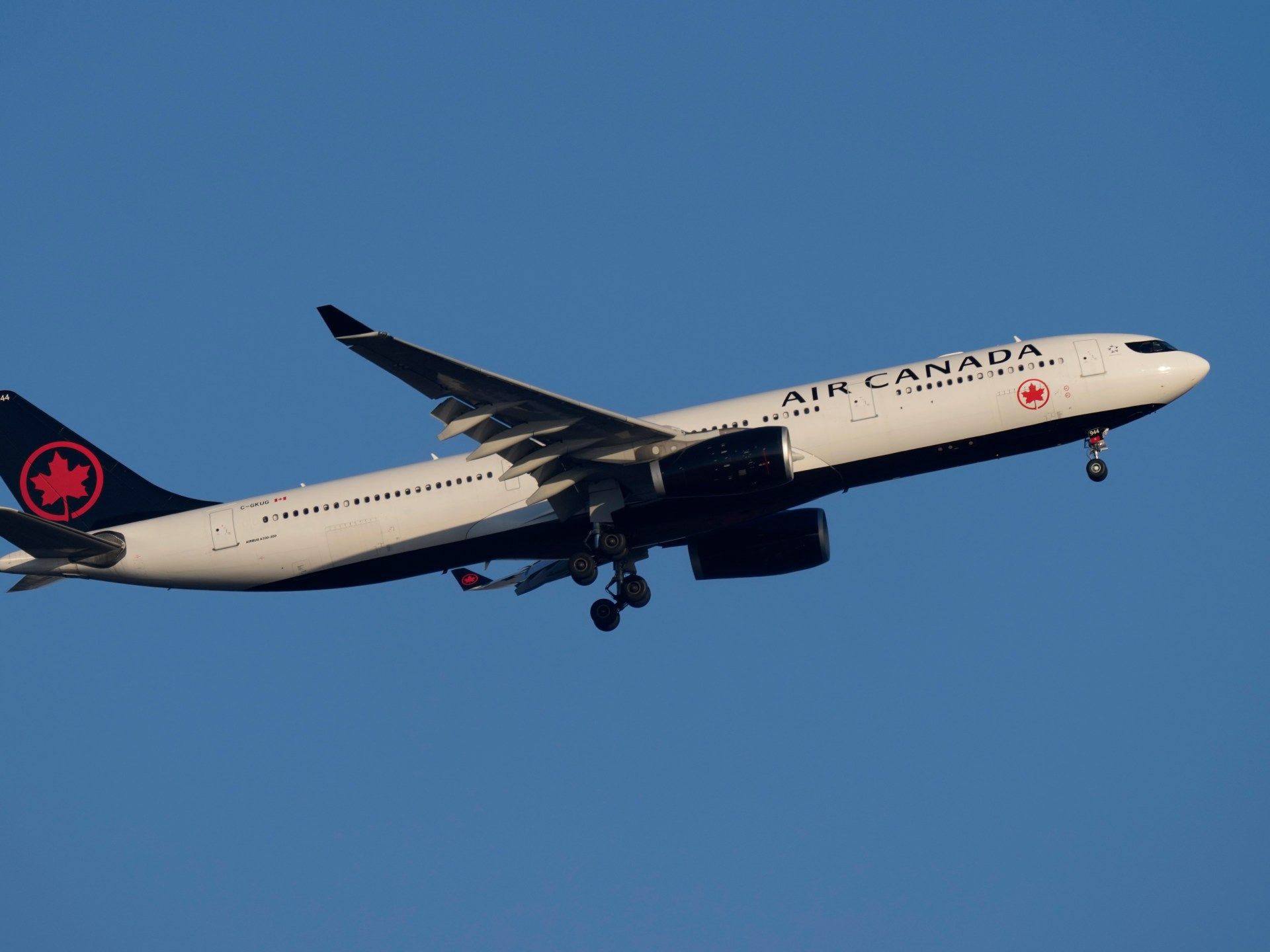 Air Canada Pilot's 17-Year Licence Scandal Exposes Regulatory Weaknesses