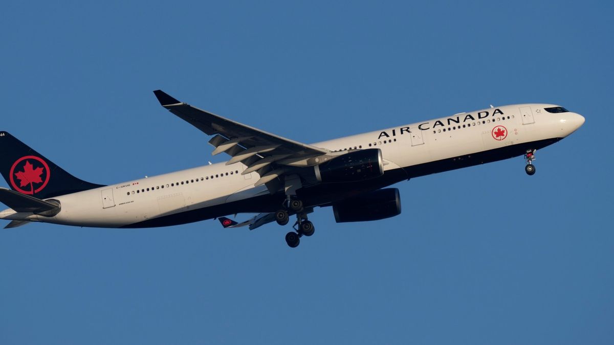 Air Canada Pilot's 17-Year Licence Scandal Exposes Regulatory Weaknesses