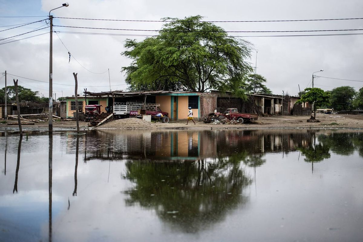 El Niño's Global Consequences: A Perfect Storm of Economic and Climate Shocks