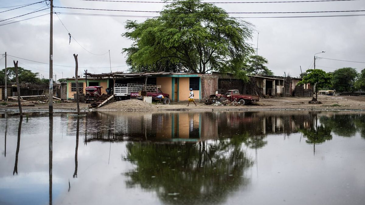 El Niño's Global Consequences: A Perfect Storm of Economic and Climate Shocks