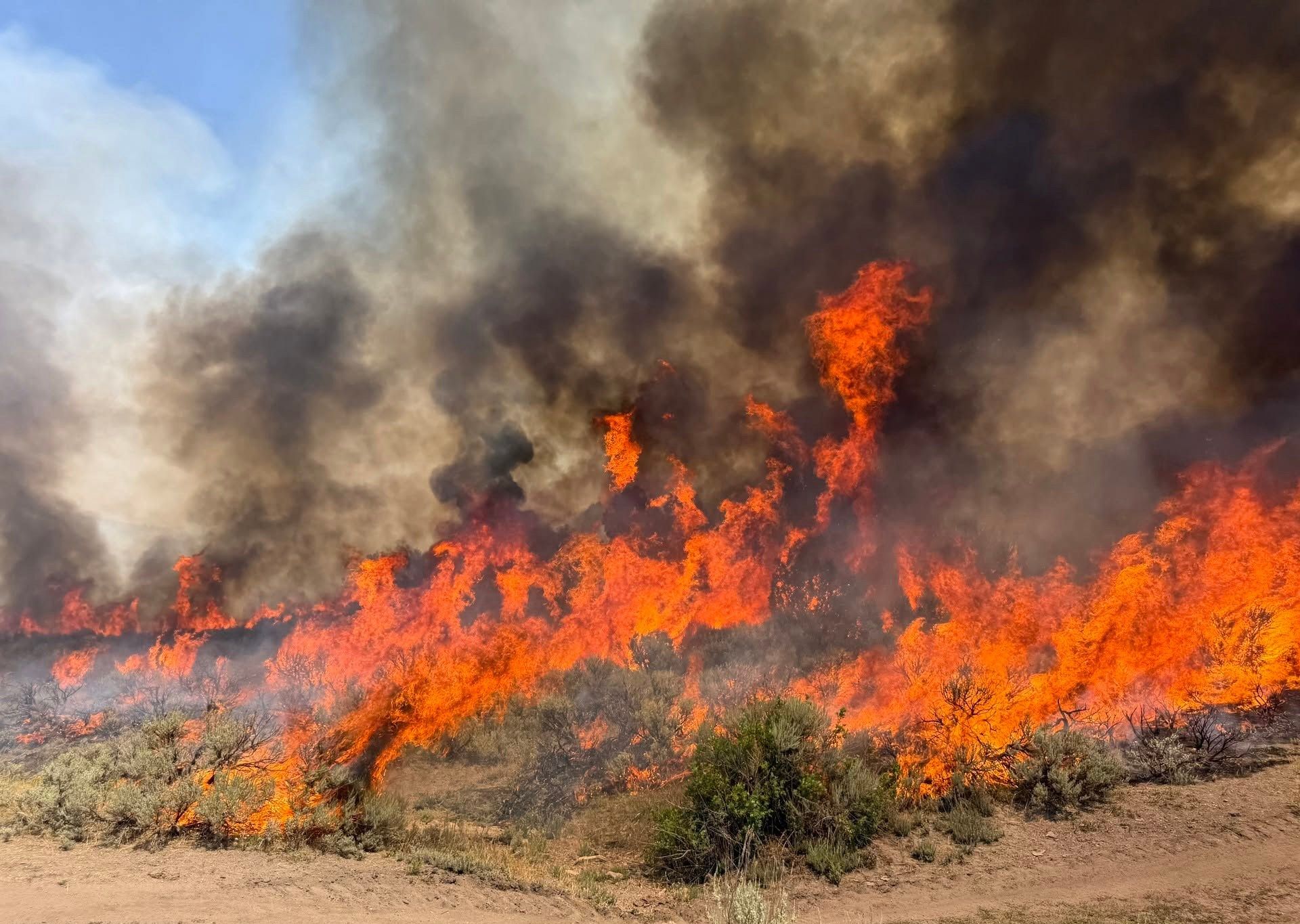 The Unseen Risks of Wildfire Warfare