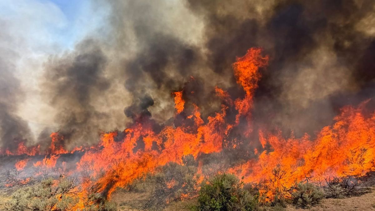The Unseen Risks of Wildfire Warfare