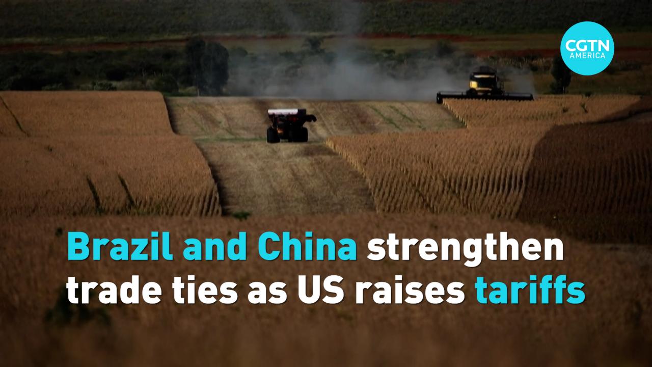 US Tariffs on Brazil Prompt Deeper Sino-Brazilian Trade Ties, Reshaping Global Dynamics