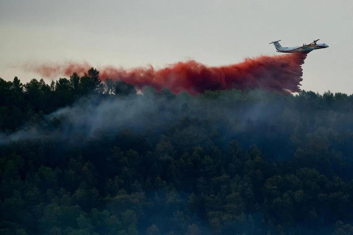 France Wildfire Exposes Regional Vulnerabilities Amid Heatwave