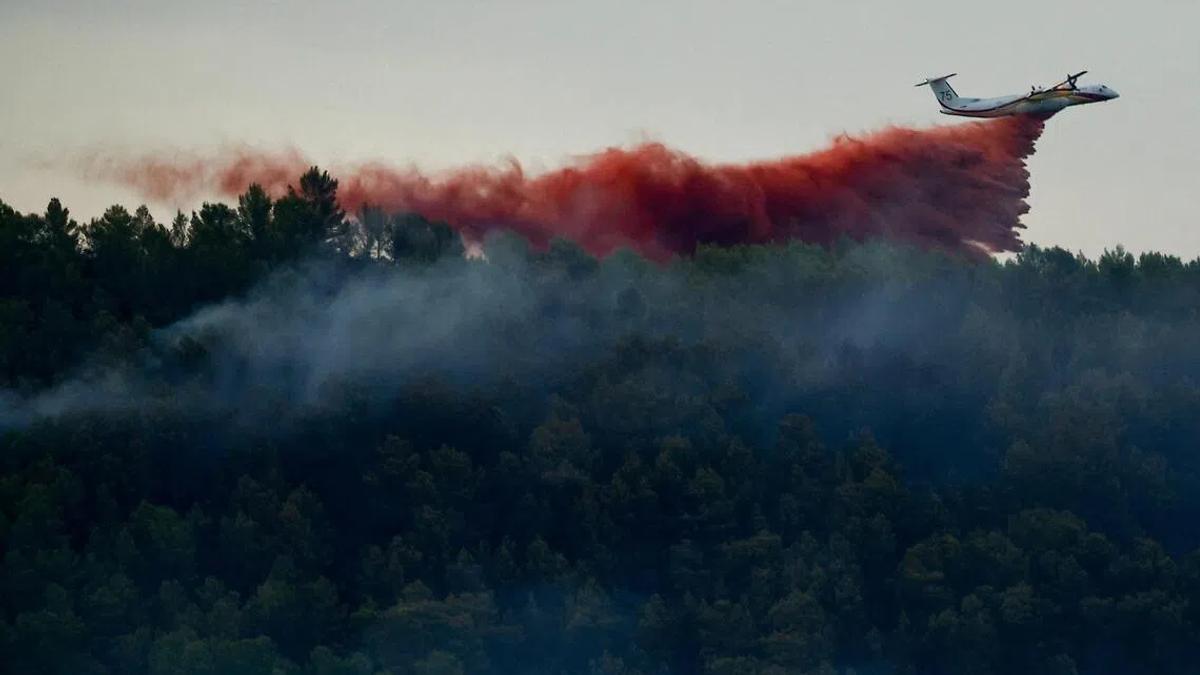 France Wildfire Exposes Regional Vulnerabilities Amid Heatwave