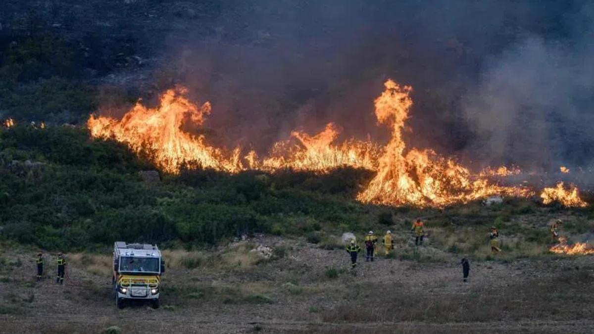 France's Burning Summer: The Unseen Consequences of a Parched Earth