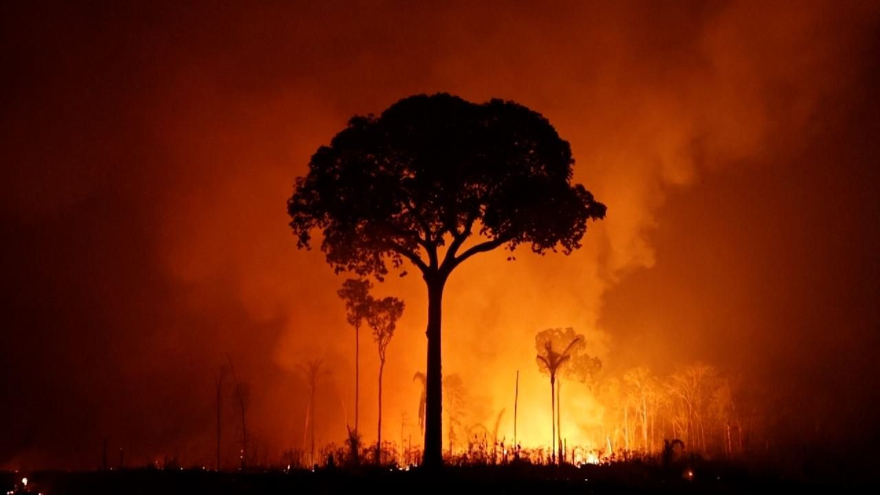 The Amazon Burns: The Price Paid by Forest and People for Global Demand