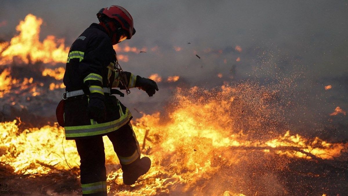 Europe's Unprecedented Wildfires: A Perfect Storm of Climate Change, Human Error, and Geopolitical Consequences