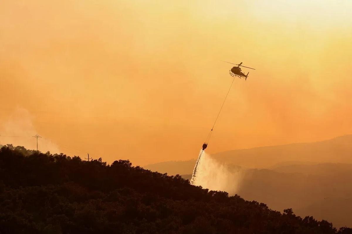 Spain's Wildfire Crisis: A Canary in the Coal Mine for Climate Change