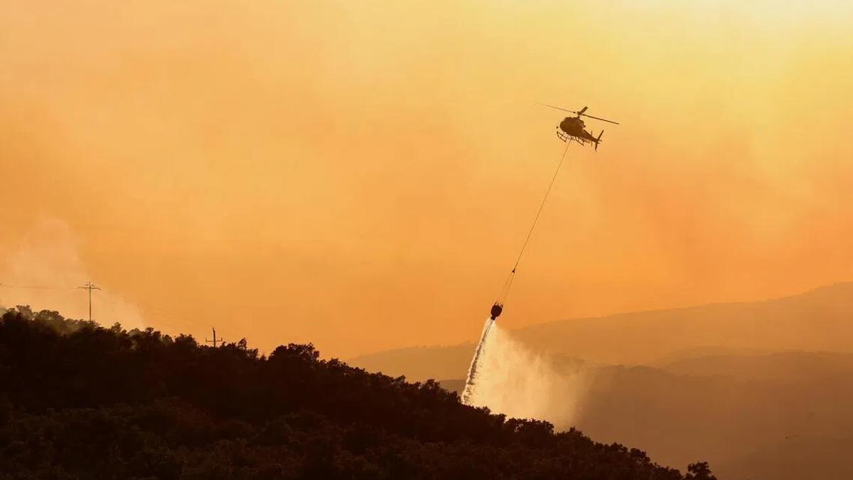 Spain's Wildfire Crisis: A Canary in the Coal Mine for Climate Change
