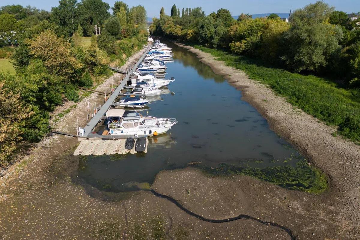 Germany's Shrinking Lifeline: The Human Cost of a Parched Rhine