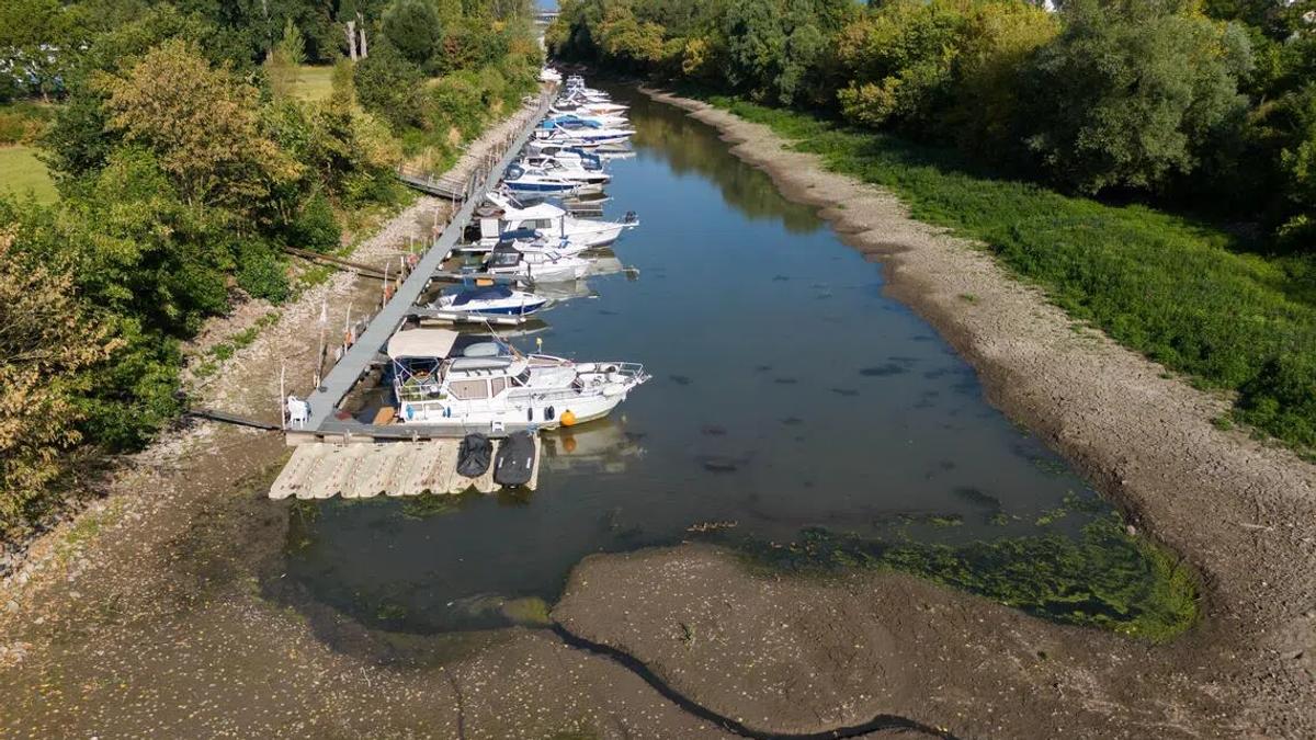 Germany's Shrinking Lifeline: The Human Cost of a Parched Rhine