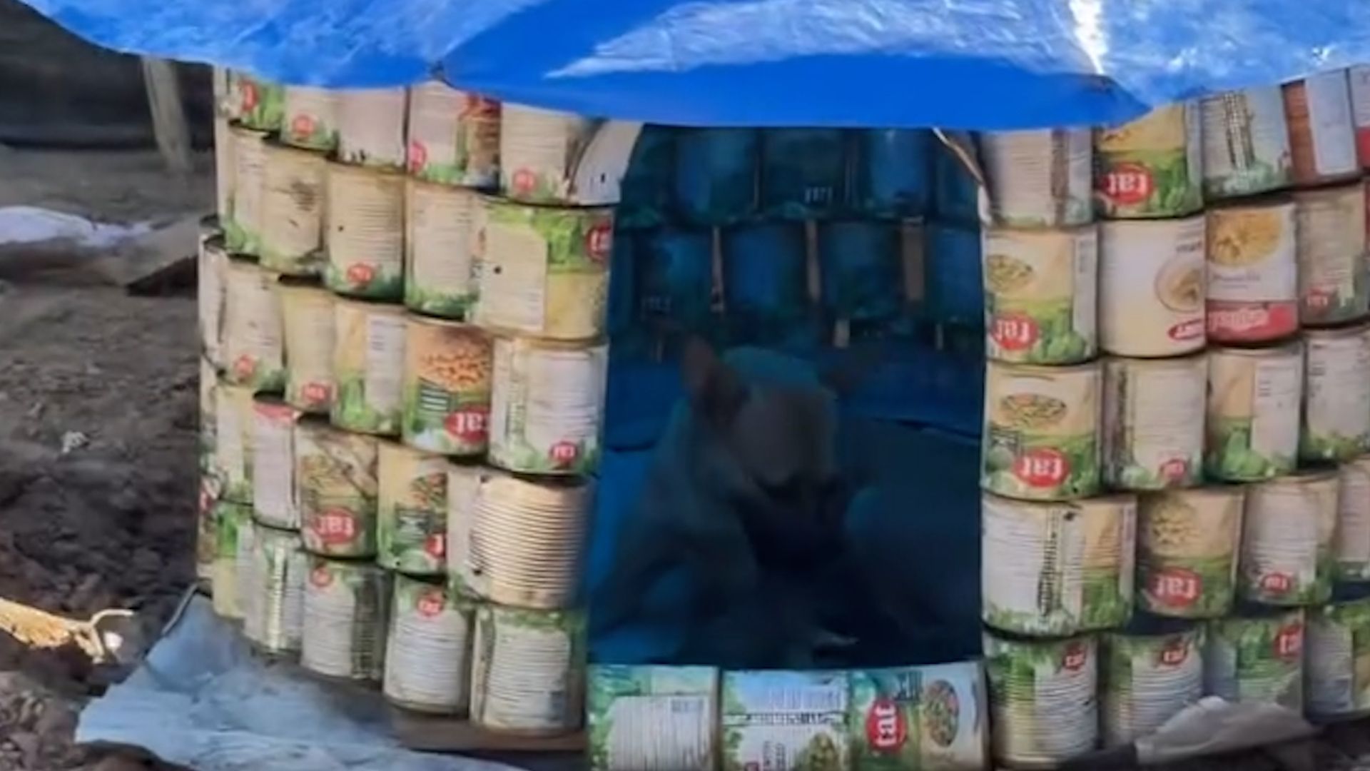 Recycling Hope in Gaza