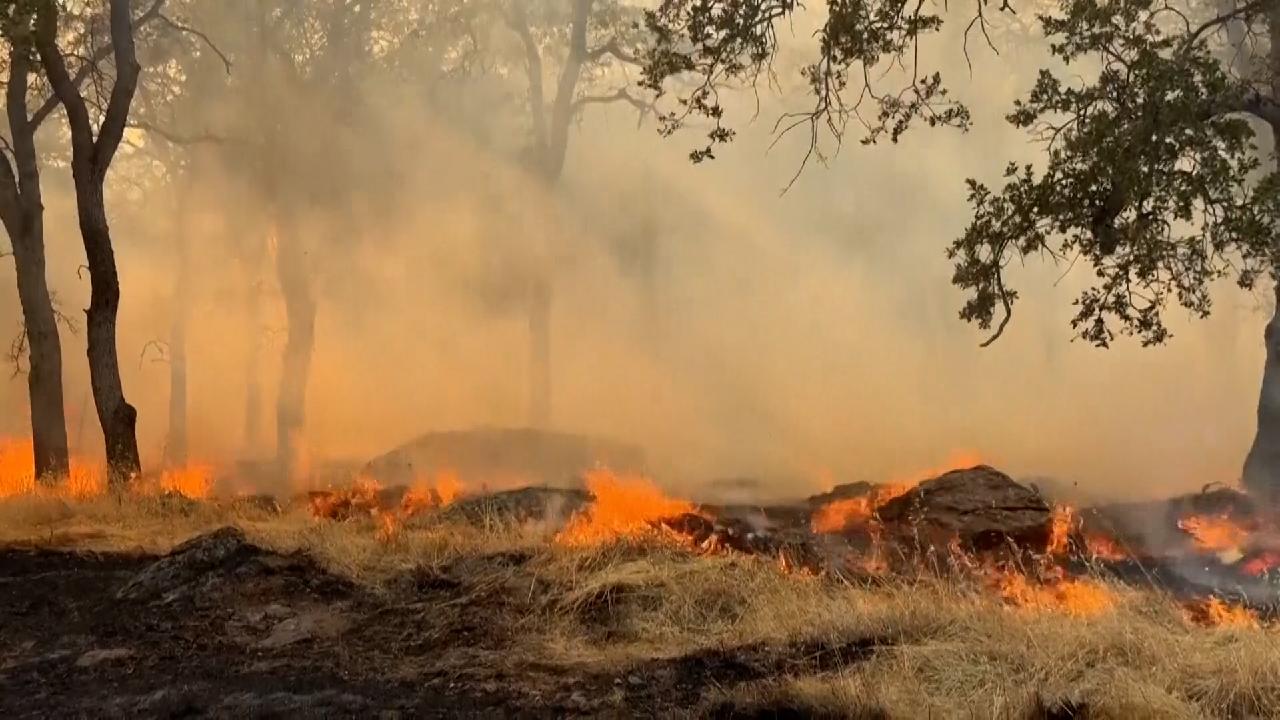 California's Burning Question: Who Pays the Price for Wildfires?