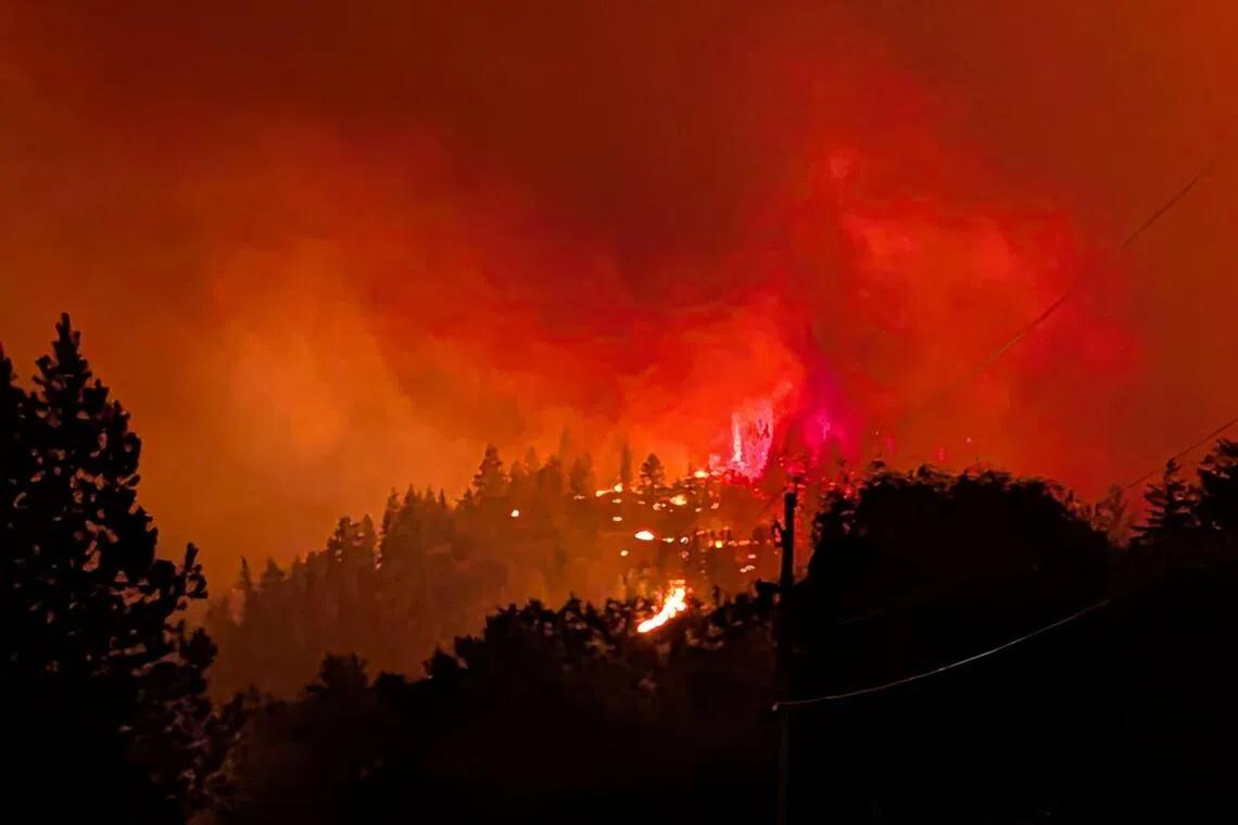 Canada's Burning Wildfires: A Climate Crisis Beyond Emergency Responses