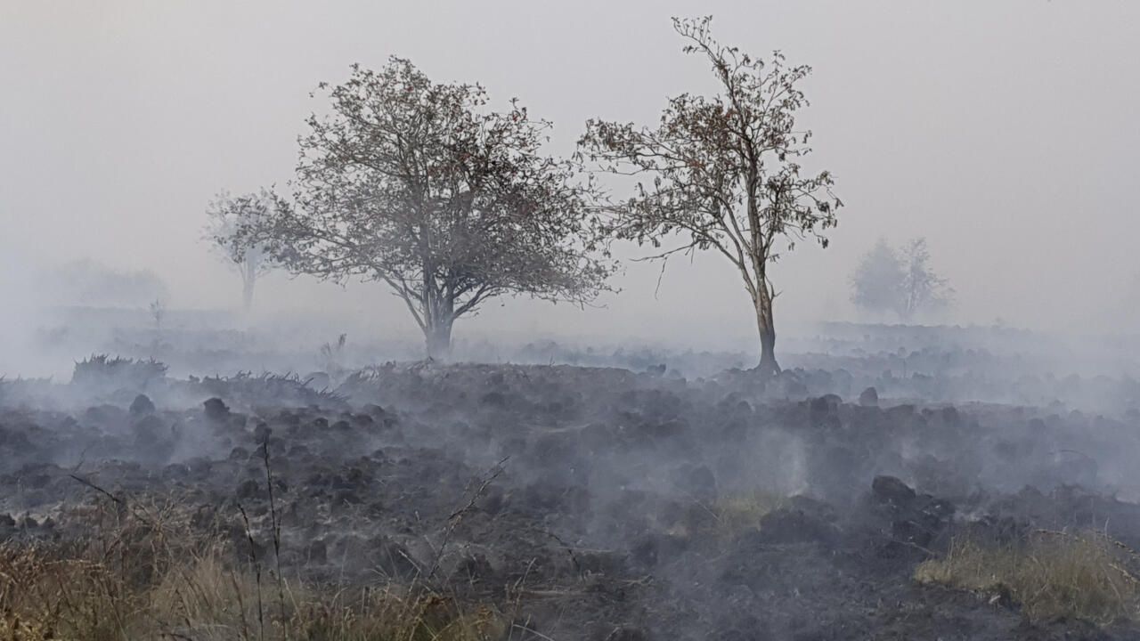 Belgium's Burning Fens: A Legacy of Neglect and Climate Change