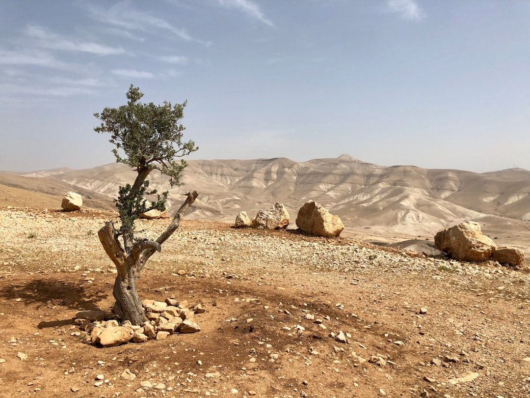 West Bank's Youth Unemployment Crisis: A Geopolitical Instability Factor