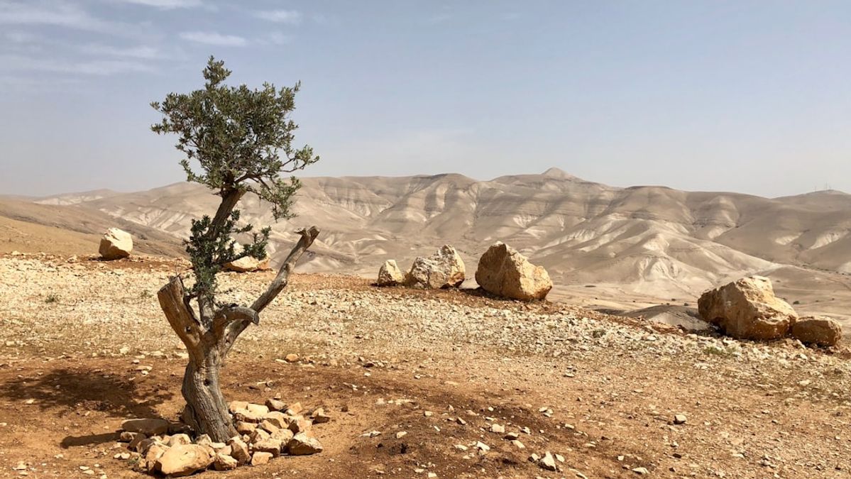 West Bank's Youth Unemployment Crisis: A Geopolitical Instability Factor