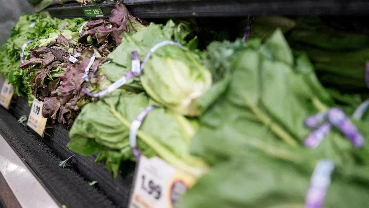 The Hidden Costs of Contaminated Lettuce