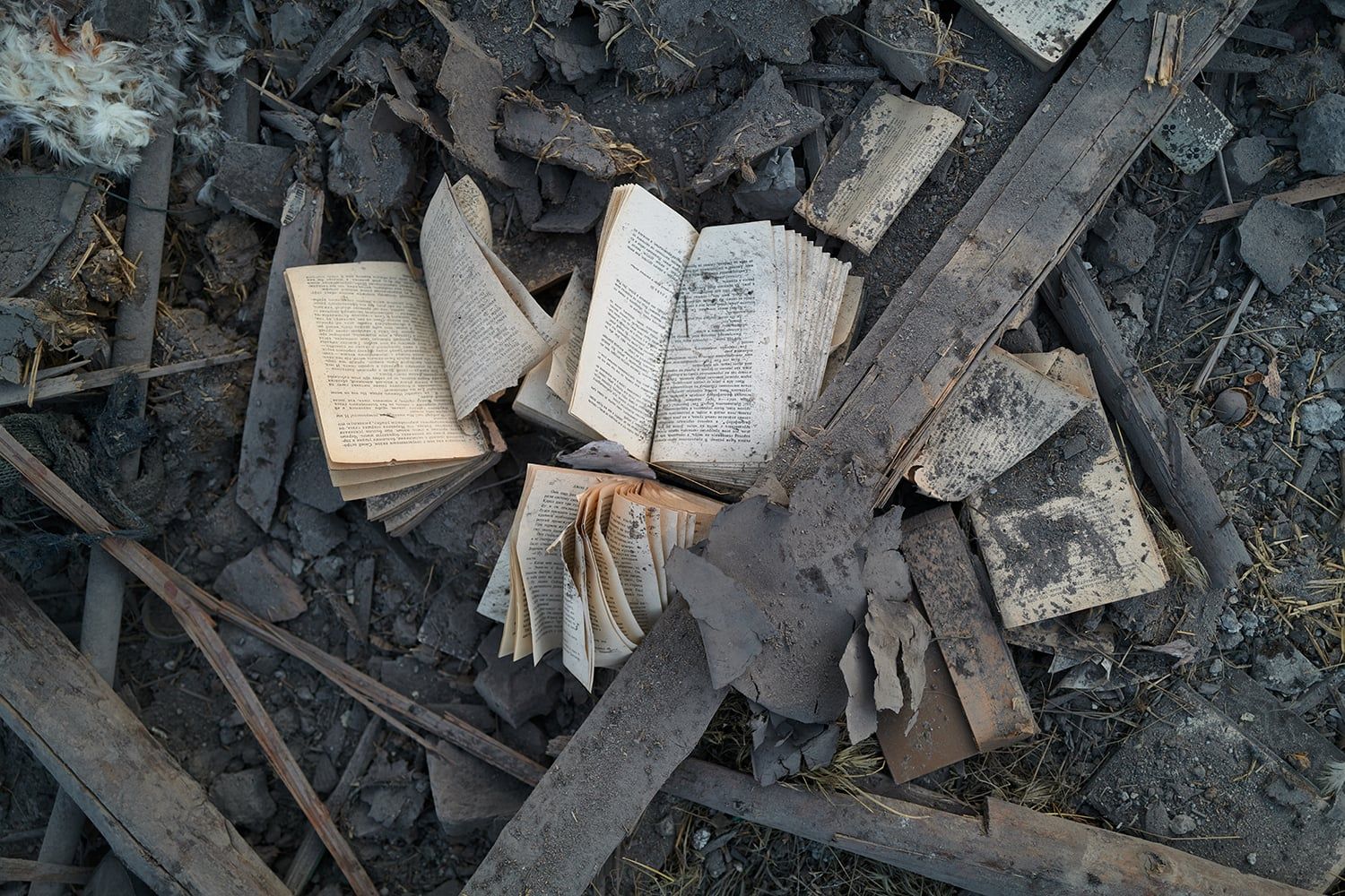 Ukraine's Language Revitalization: A Crucial Front in the War Against Russification