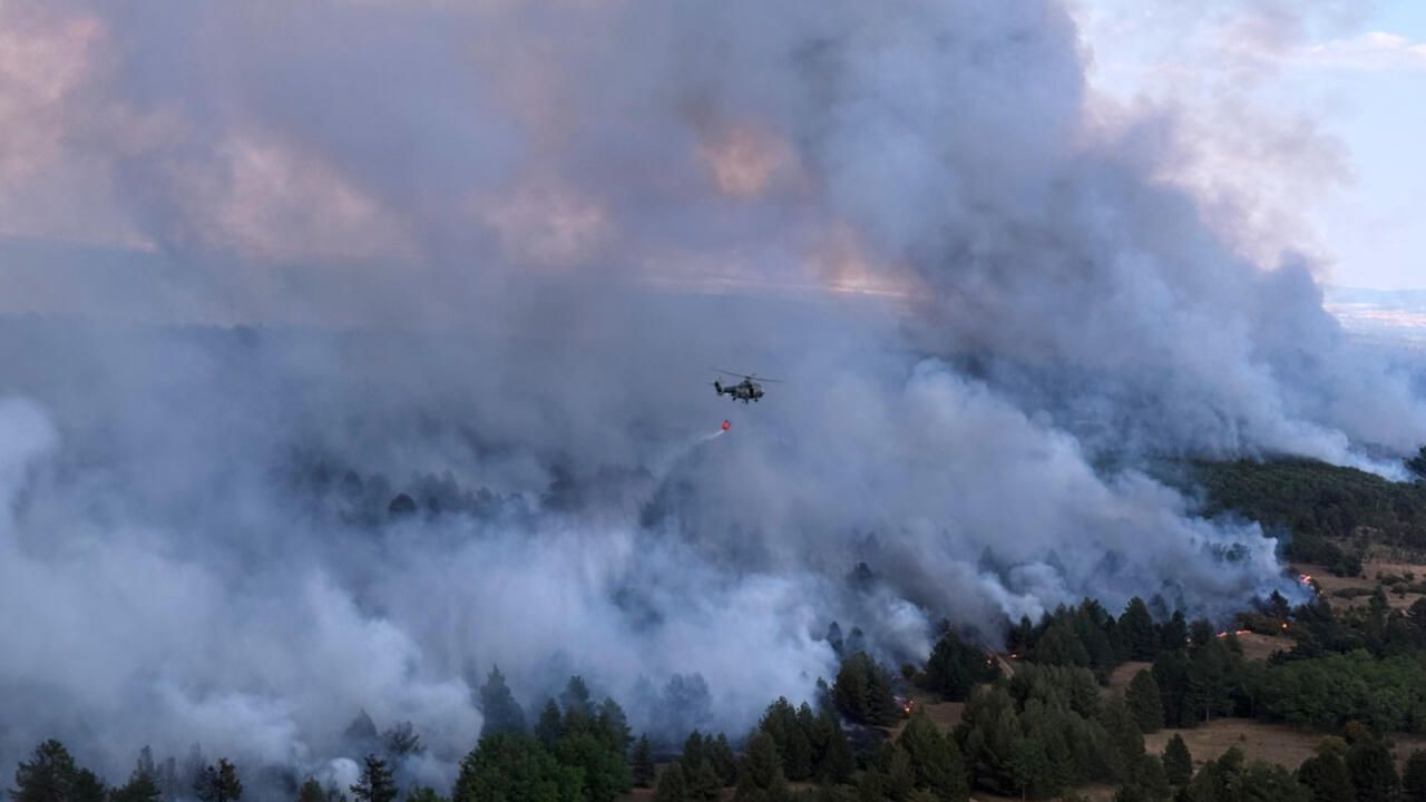 Summer of Devastation: Unseen Consequences of Global Crises