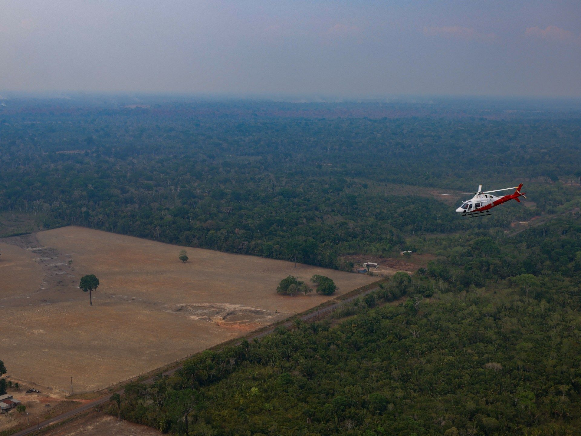 The Forest That Shrunk: Who Wins as Brazil’s Amazon Loss Slows
