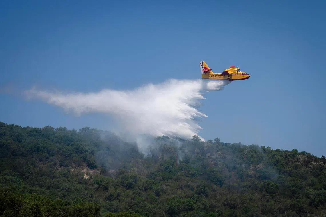 Spain's Wildfire Crisis: A Canary in the Coal Mine for Climate Change