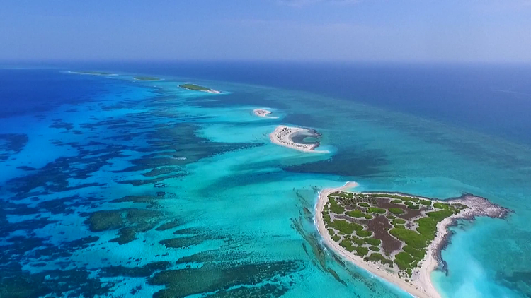 China's Firm Response to Japan's Provocation in the South China Sea