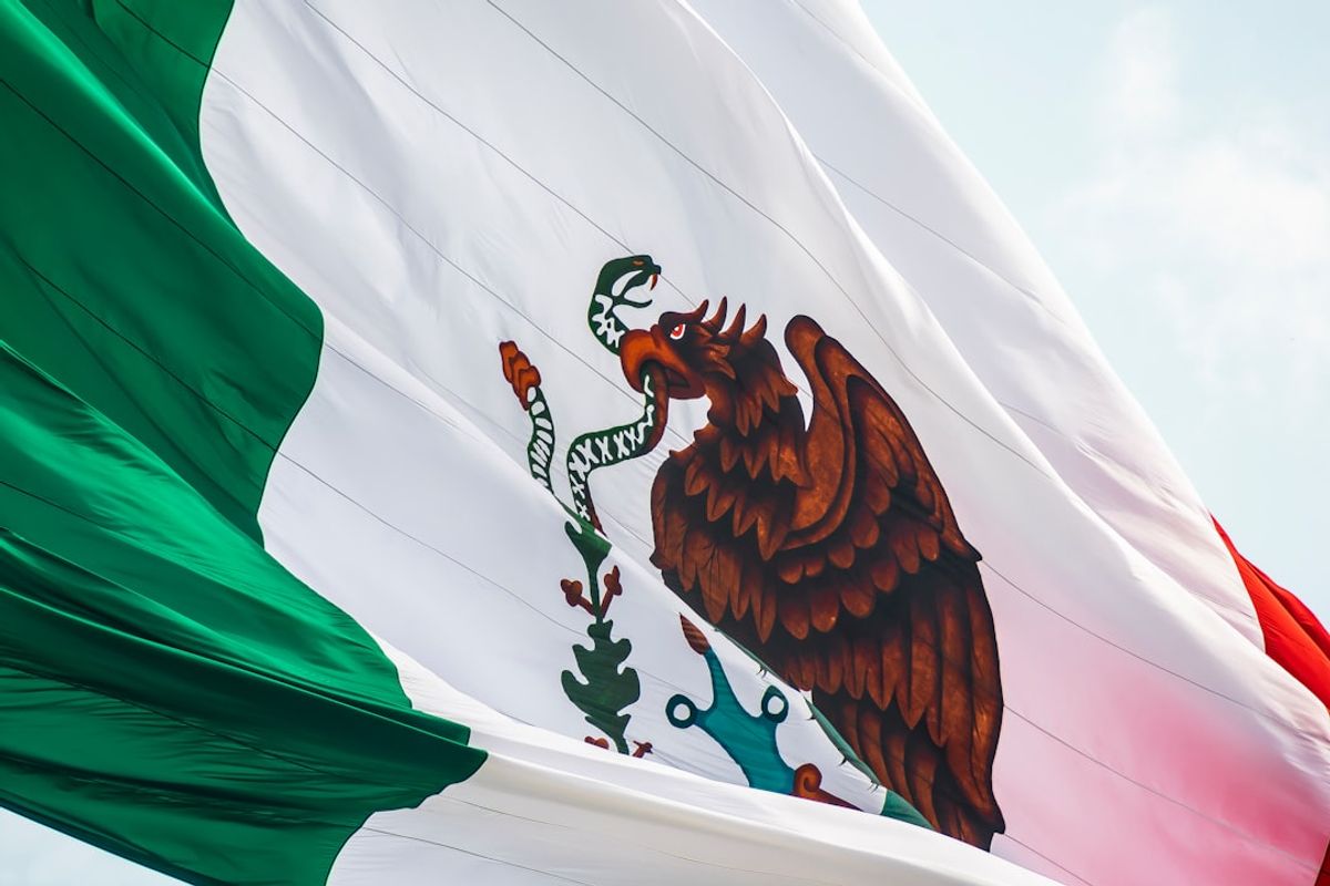 Mexico's Constitutional Amendment: A Threat to Democratic Integrity