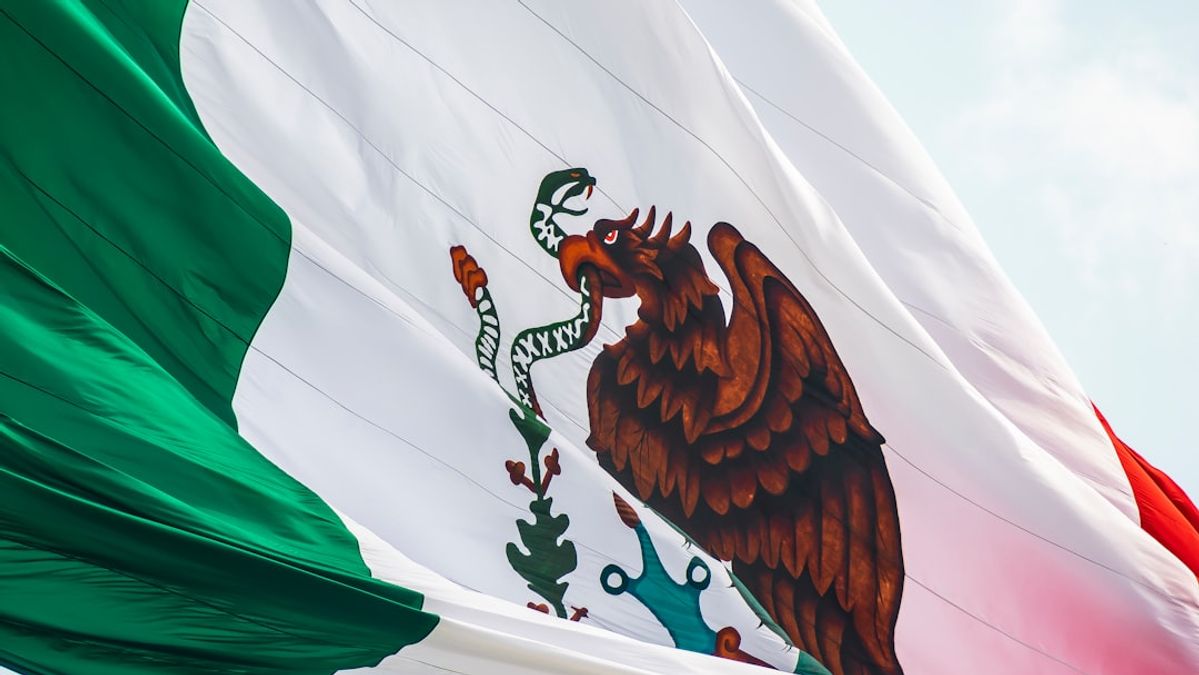Mexico's Constitutional Amendment: A Threat to Democratic Integrity