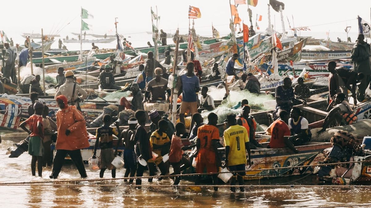 Senegal's Political Earthquake: President Sacks PM, Dissolves Government Amidst Debt Crisis and Power Struggle