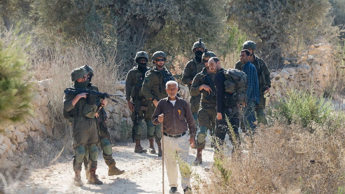 When the Olive Trees Turned Battlefield: Settlers Halt Harvest for 80,000 Families