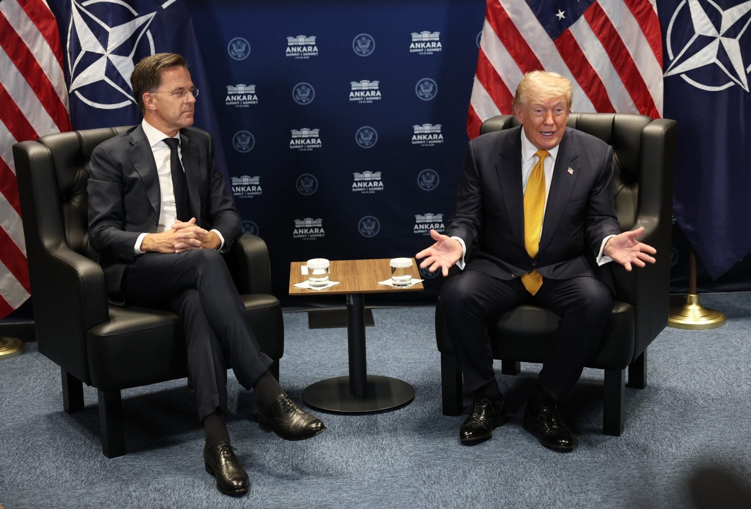 NATO's Structural Crisis: A Sick Puppy in Need of Rebalancing